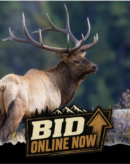 Example social-ready auction graphic with branded frame