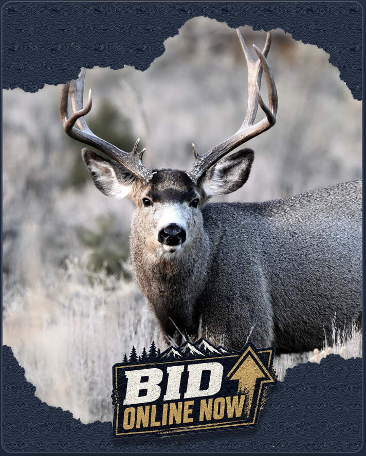 Branded mule deer auction graphic with Bid Online Now callout